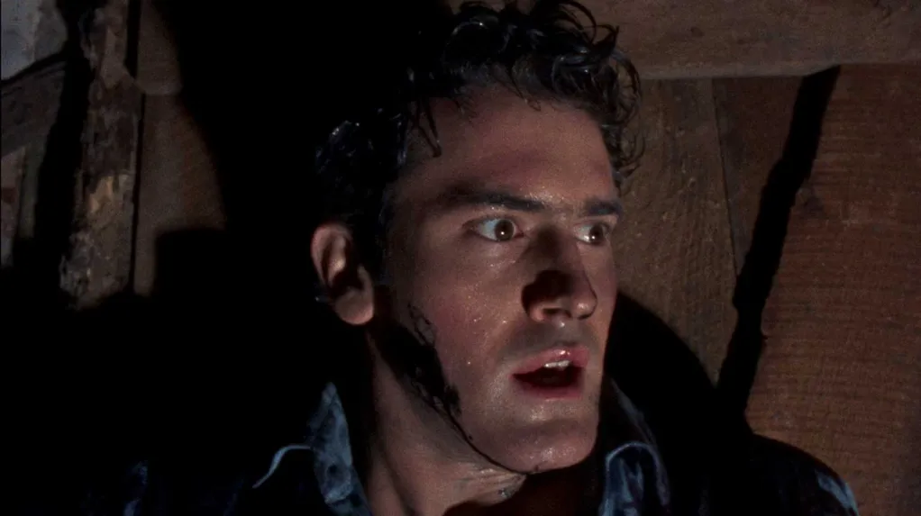 Bruce Campbell as Ashley Williams from The Evil Dead