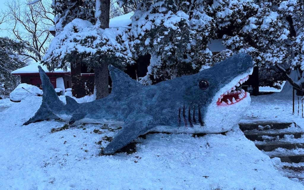 Iowa City snow shark built by Carlos Maldonado