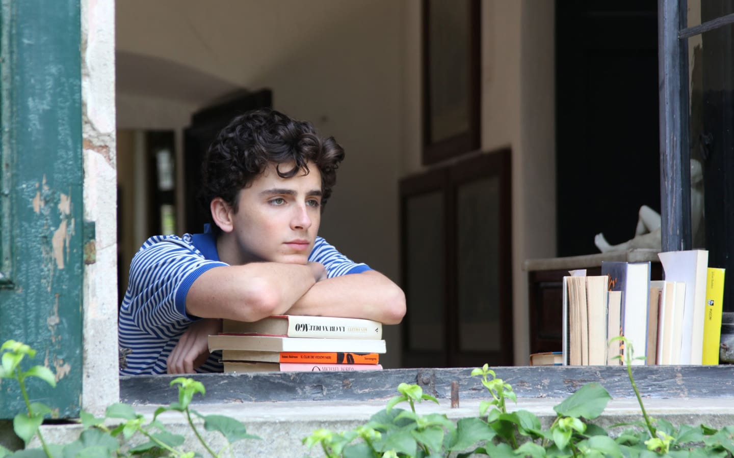 Timothee Chalamet in Call Me By Your Name