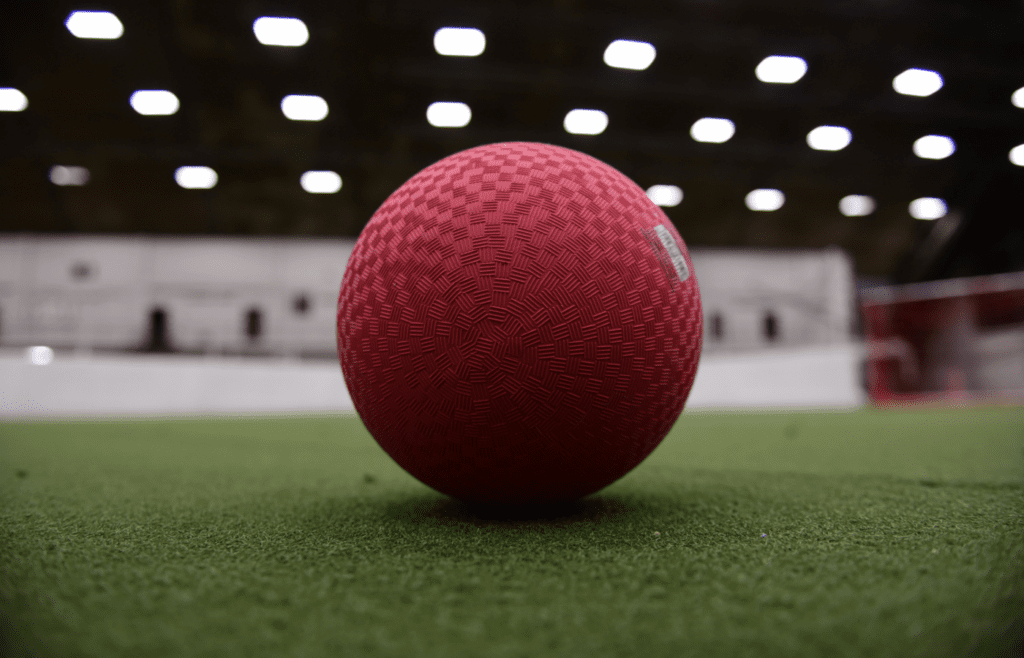 Red Dodgeball - Adobe Stock