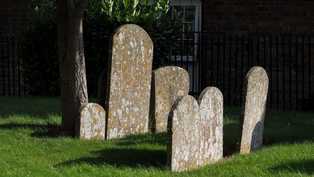 a group of tombstones sitting in the grass next to a tree