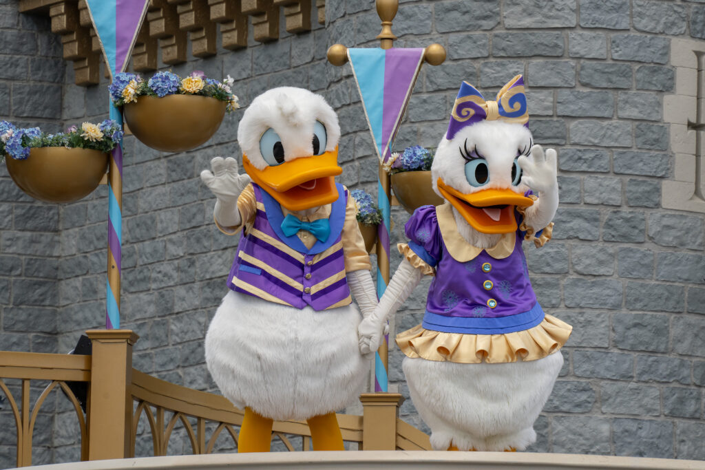 Orlando, USA - July 25th, 2023: The Donald and Daisy Duck characters in a show in front of the Cinderella castle in Magic Kingdom in Disney World.