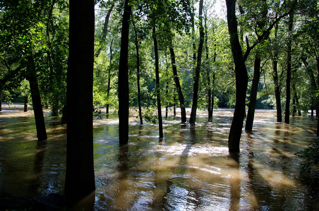 Flooded Brandywine Creek State Park.