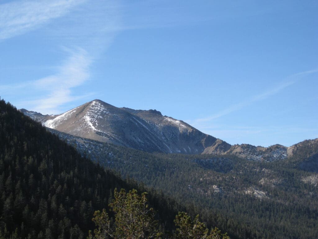 Freel Peak from Tahoe Rim Trail