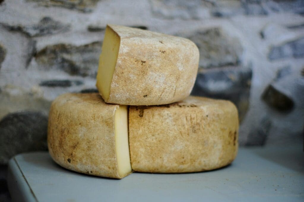 Limburger cheese