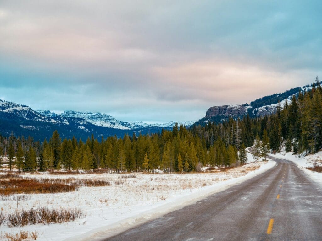 a road in the middle of a snowy field