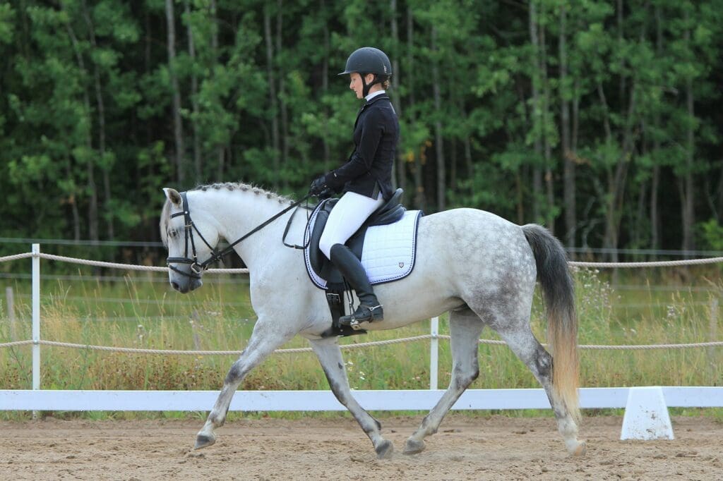 unknown person riding on white horse