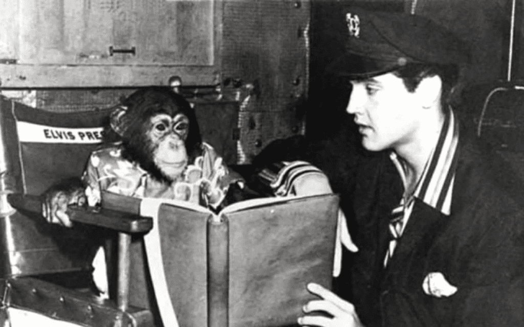 Elvis Presley and Chimpanzee