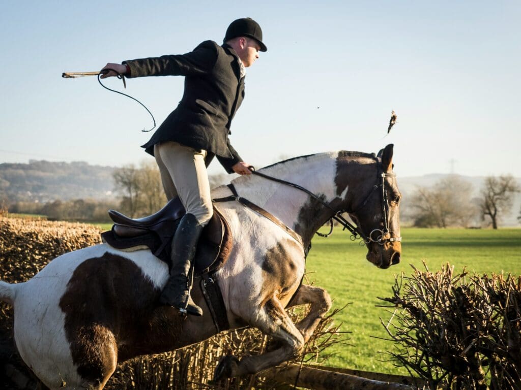 man riding horse near plant during daytime