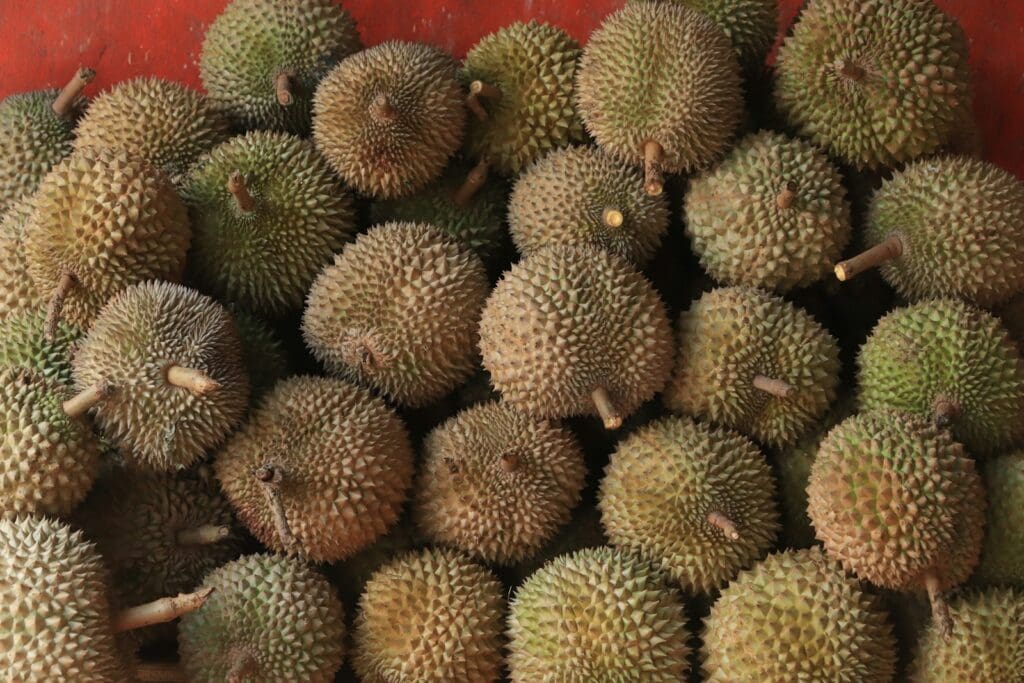 a pile of fruit sitting on top of a table