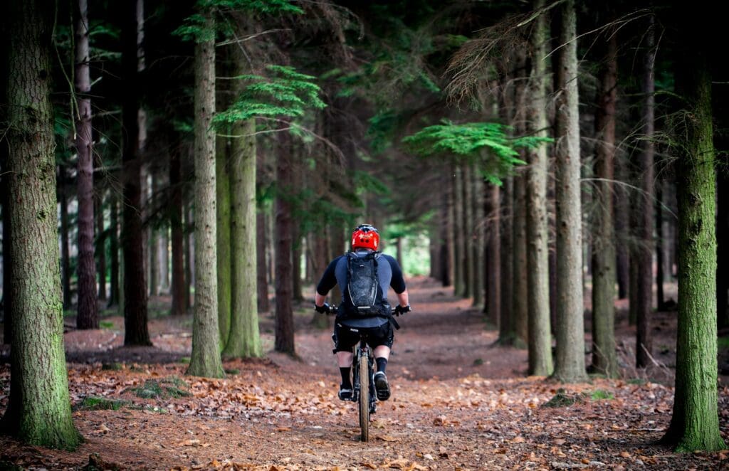 person cycling on bike surrounds with trees at daytime