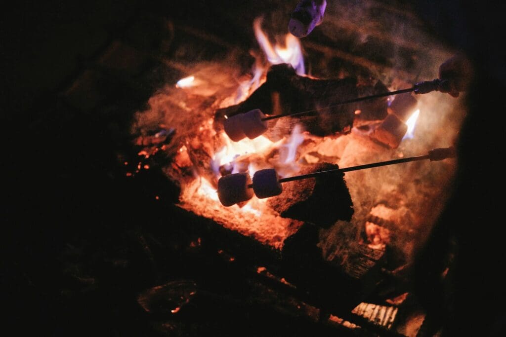 burning firewood on fire pit