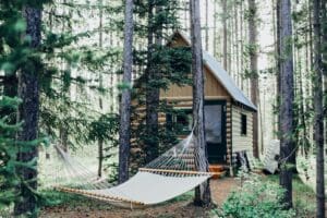 wooden house with hammock attached on tree