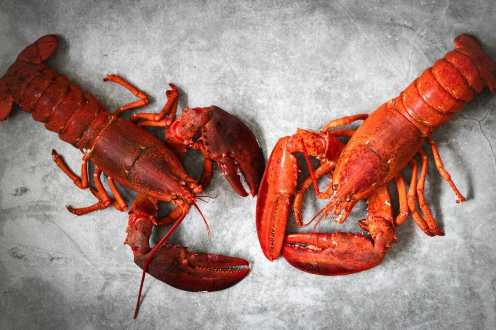 a couple of lobsters laying on top of a table