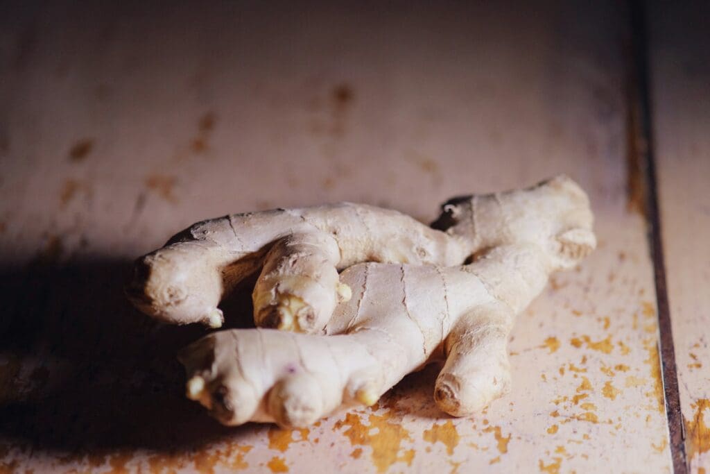 white cream ginger on brown wooden table