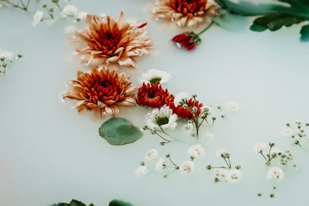 flowers floating in bathwater