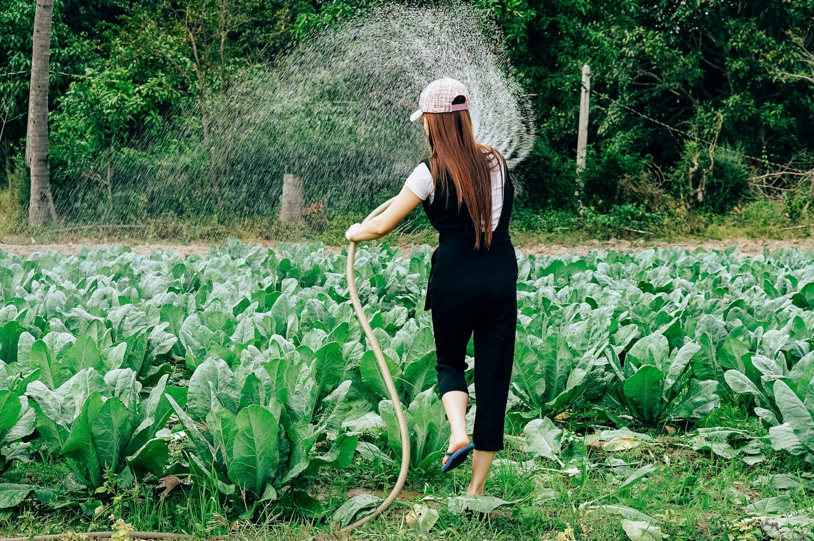 woman in black long sleeve shirt and black pants standing on green grass field during daytime