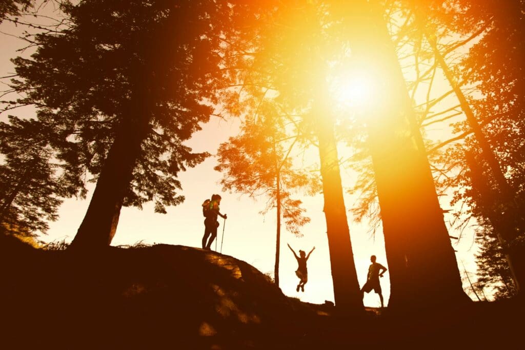 silhouette photo of three people near tall trees