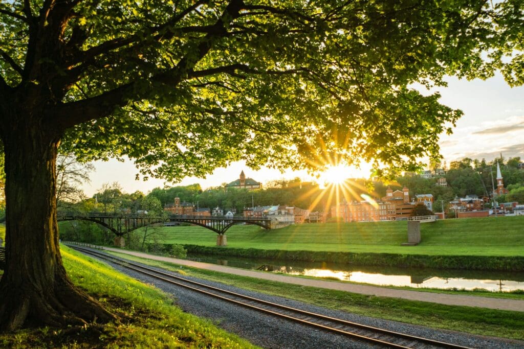 a tree next to a train track