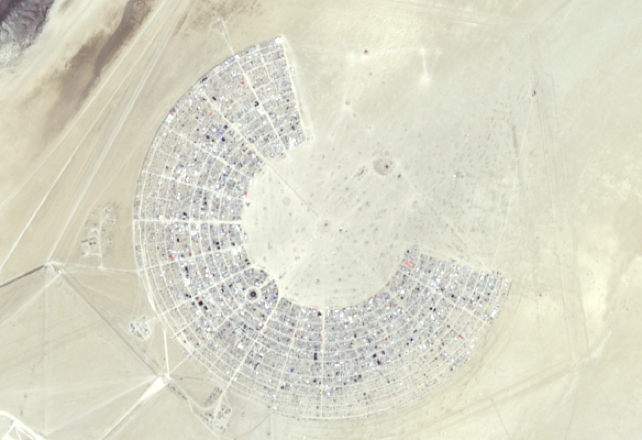 The Burning Man Festival