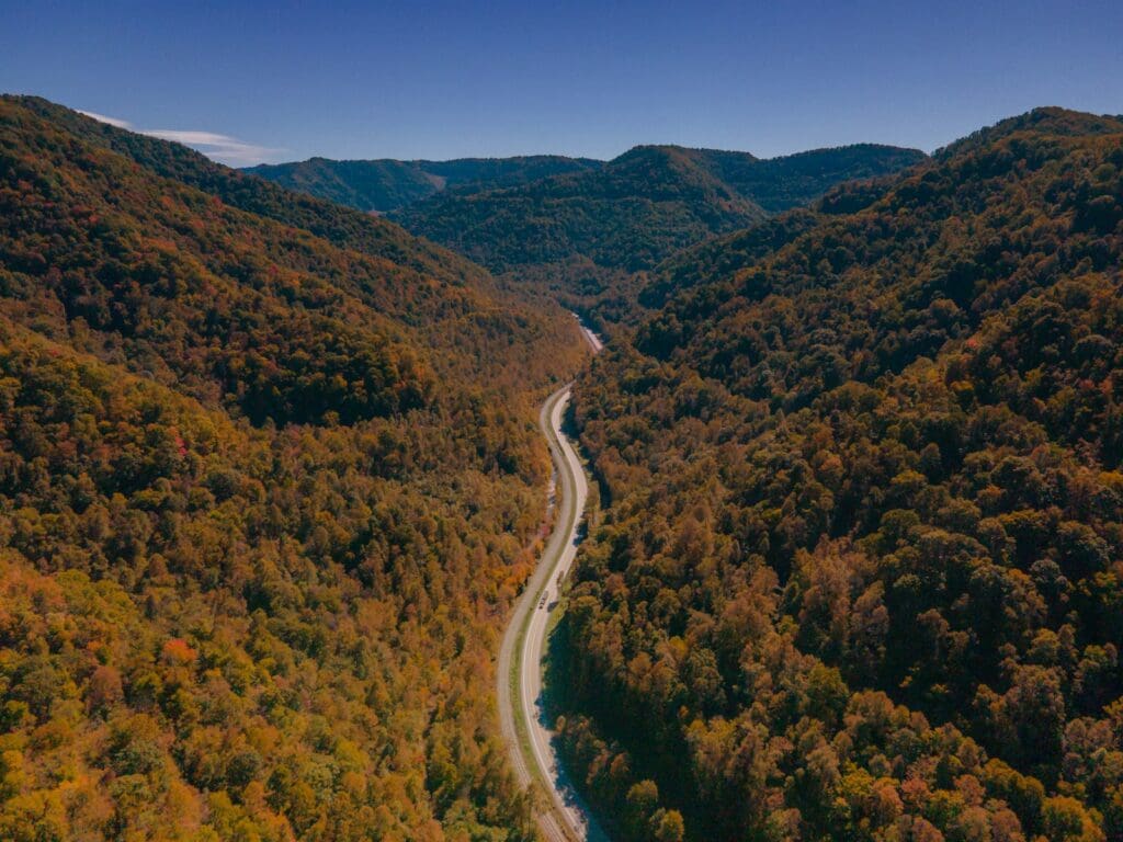 a winding road through a forest