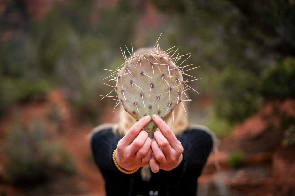 person holding white dandelion flower