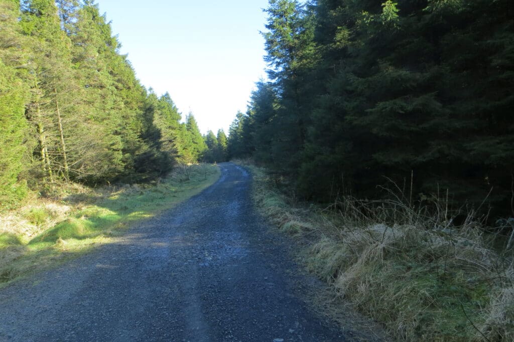 Ballyboley Forest - geograph.org.uk - 4384807