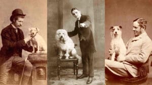 1800s men with dogs