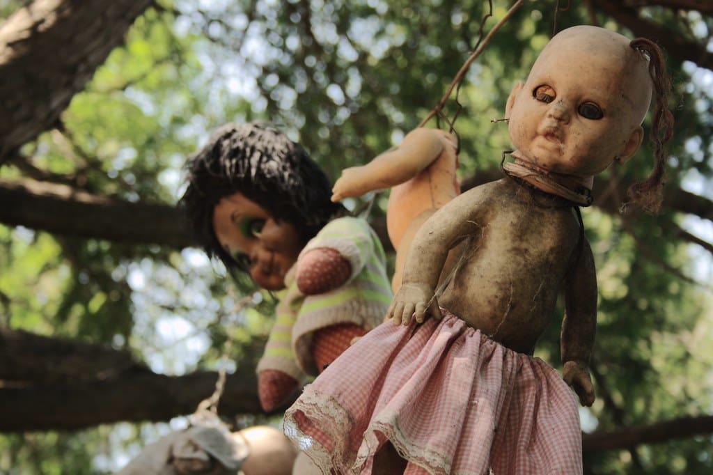 Dolls hanging from trees