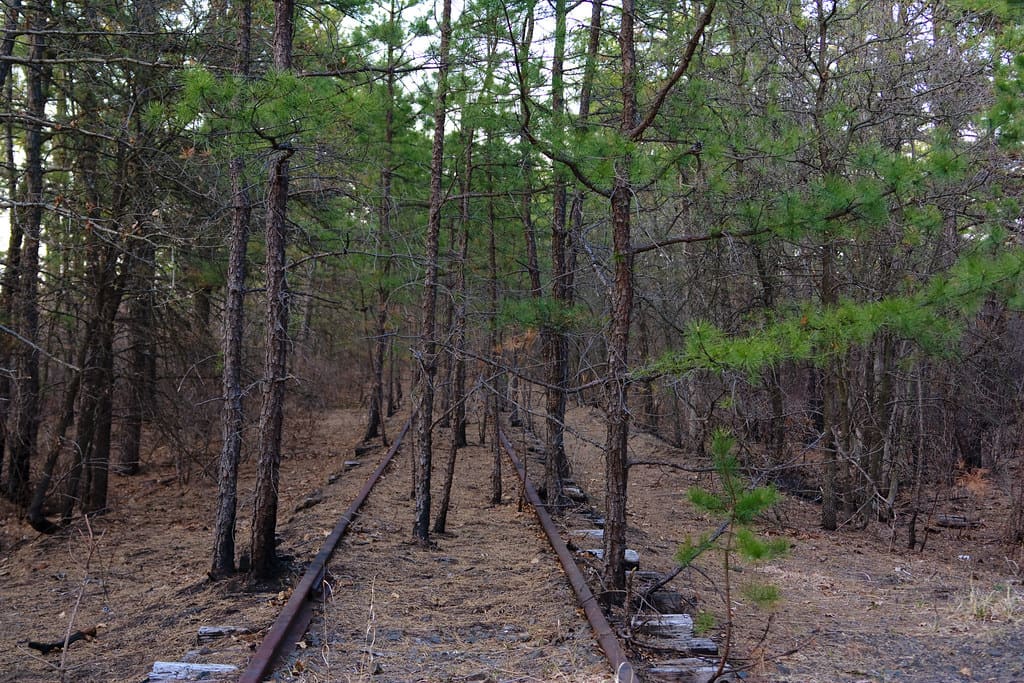 Pine Barrens Tracks