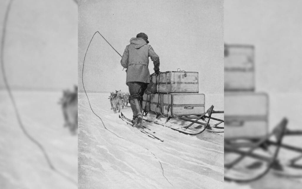 Expedition dog team