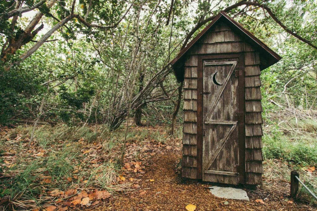 A rustic wooden outhouse nestled among thick branches in a lush forest, evoking a rural, natural vibe.