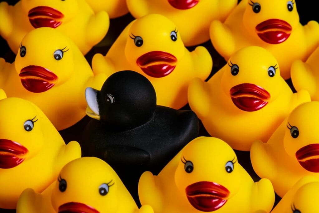 Vibrant rubber ducks arrangement highlighting a unique black duck in a playful still life setup.