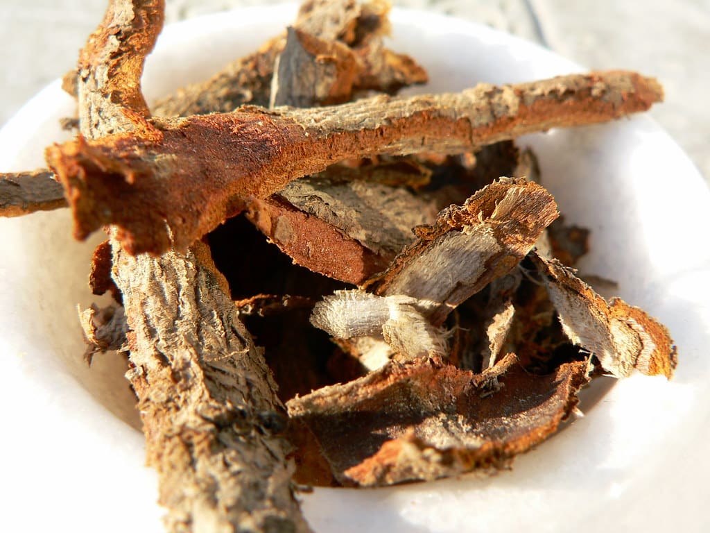 dried sassafras root bark