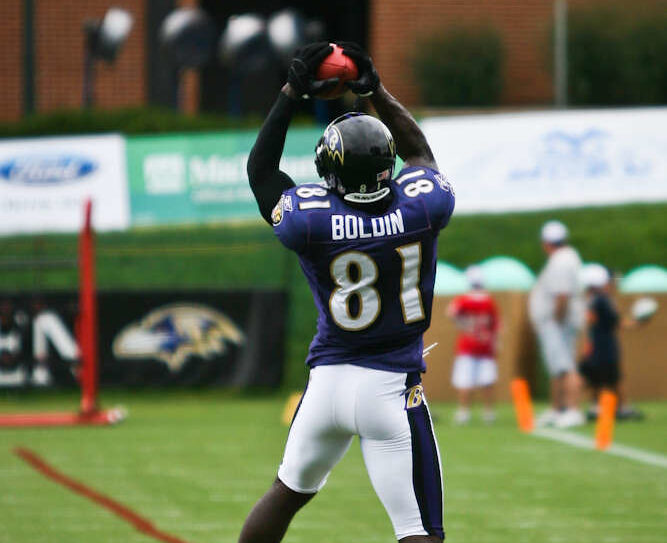 Anquan Boldin
