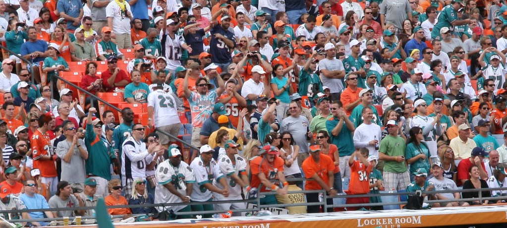 Dolphins fans