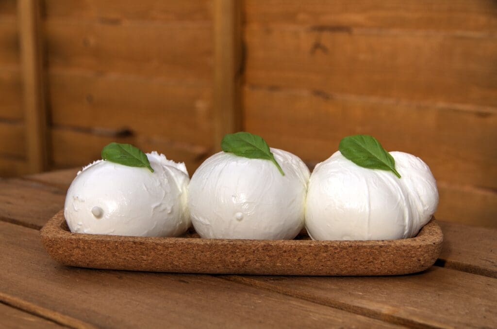 mozzarella