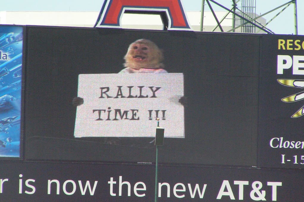 The Rally Monkey