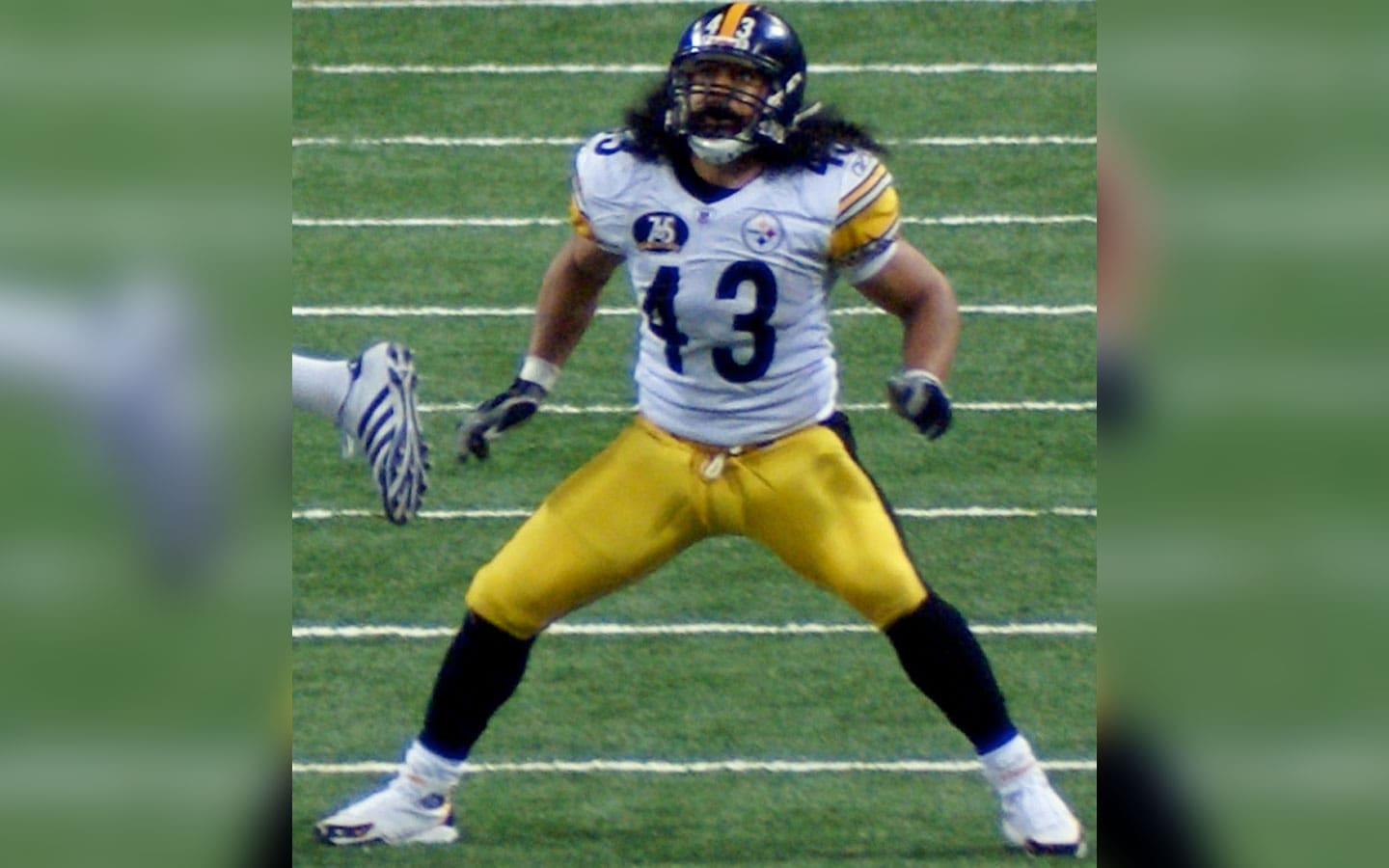 Troy Polamalu
