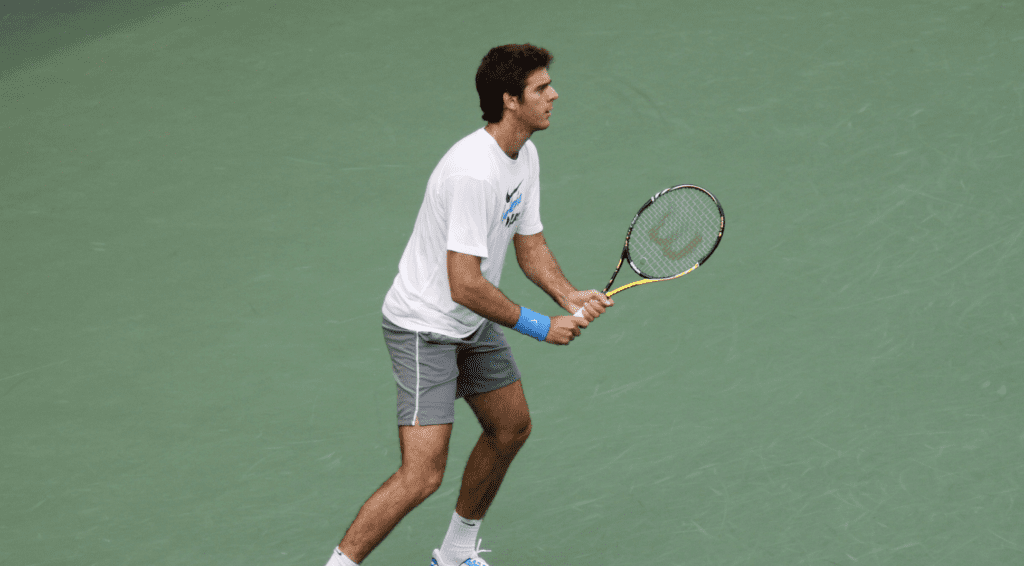 Juan Martín del Potro