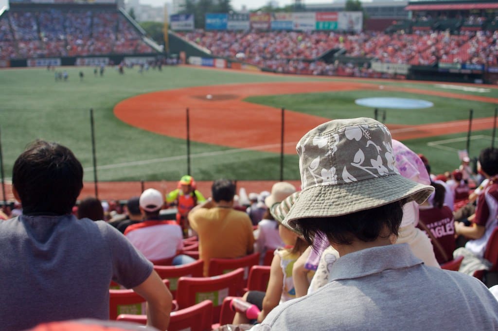 baseball fan