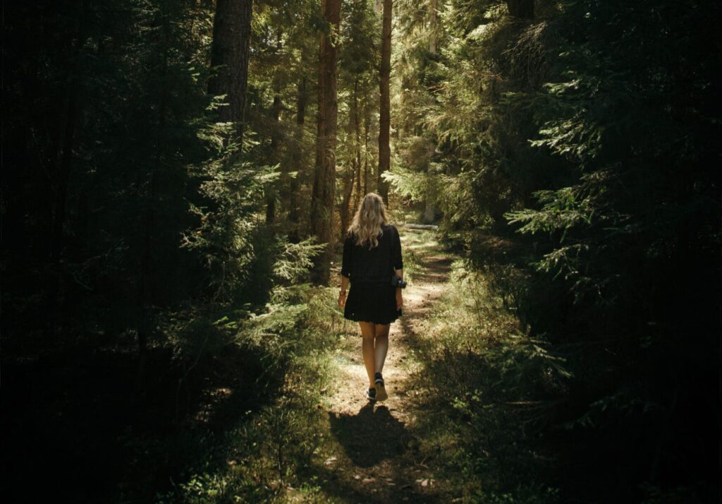 Lost in the woods 1 (Unsplash)