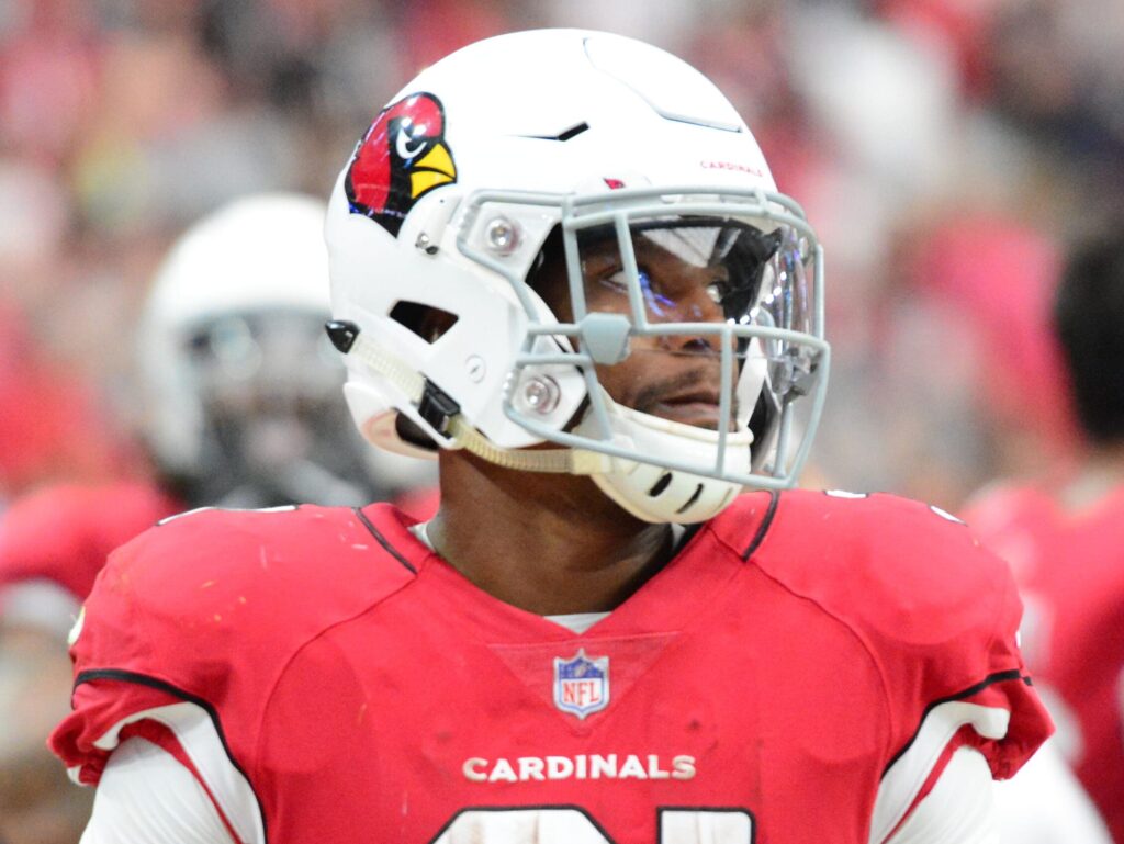 David johnson 2018
