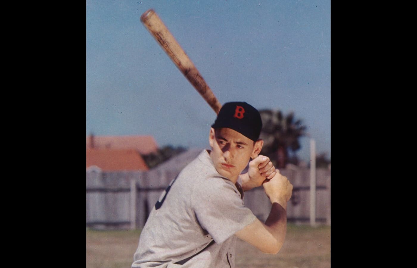 Ted Williams