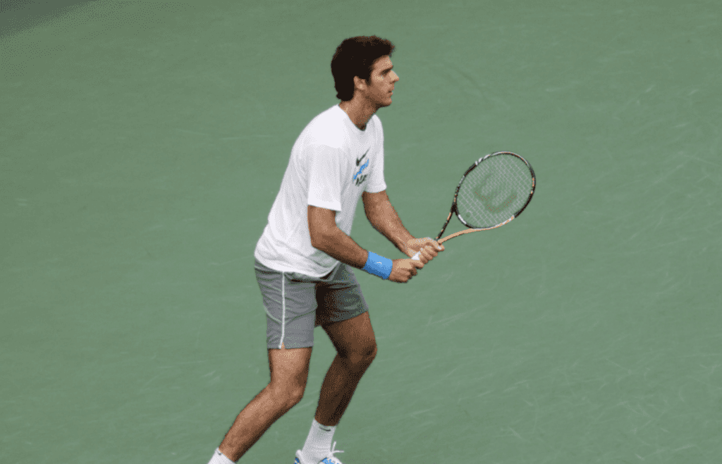 Juan Martín del Potro