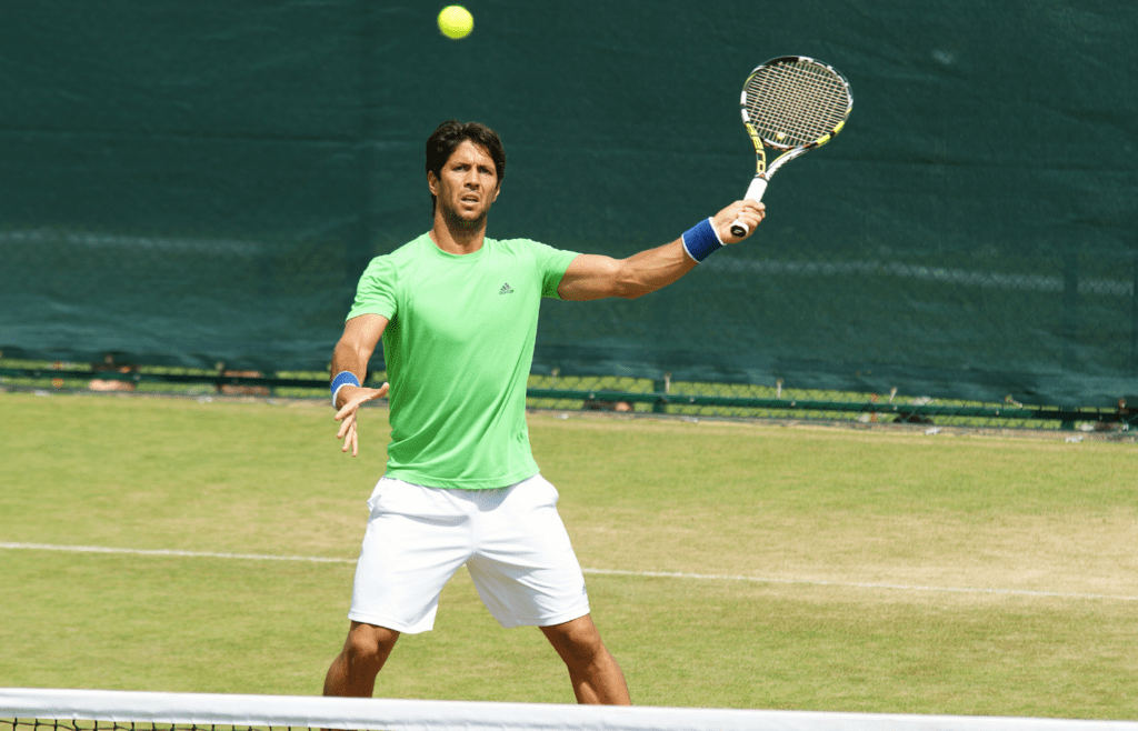 Fernando Verdasco