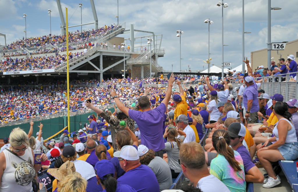 LSU Tigers fans