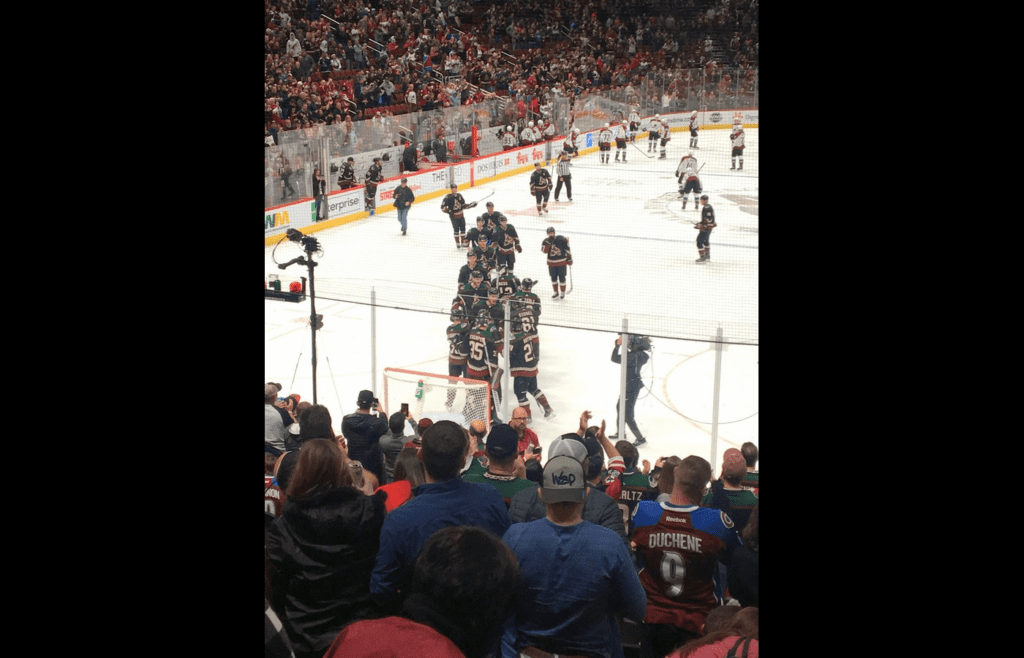 Hockey fans cheer as players celebrate win