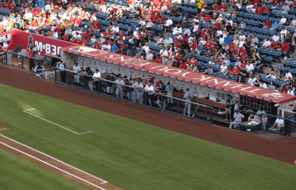 Angels fans watching the game near the dugout