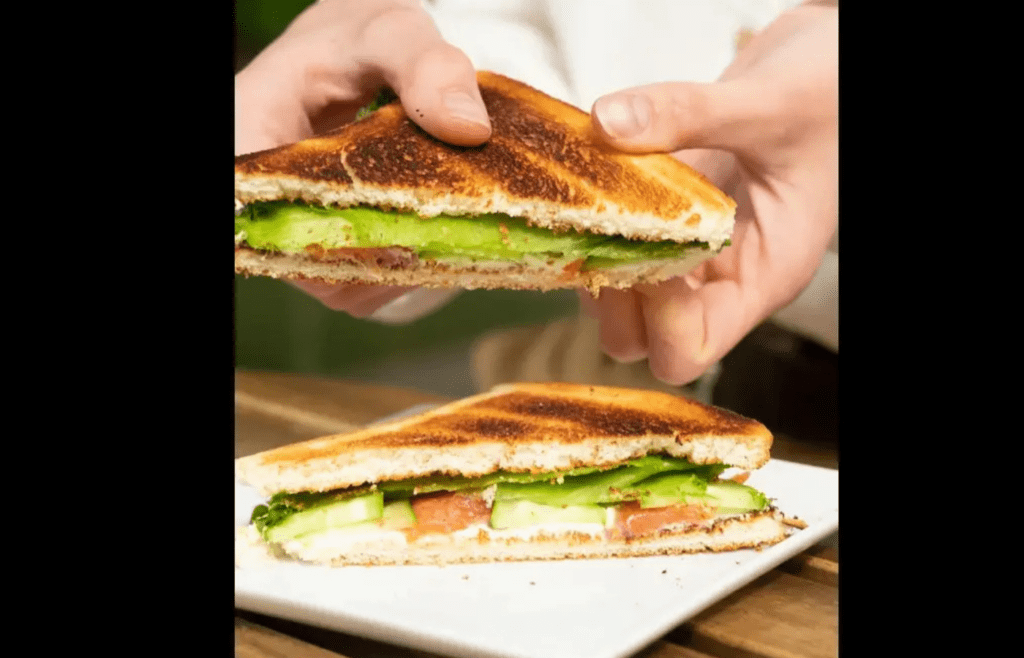 A person holding Grilled vegetable sandwich